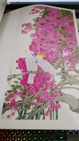 周彦生现代工笔花鸟