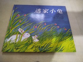 信谊绘本世界精选图画书：逃家小兔