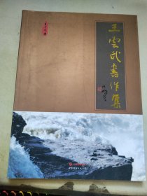 王云武书作集