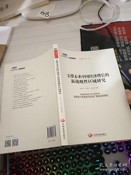 国务院发展研究中心研究丛书2015：支撑未来中国经济增长的新战略性区域研究