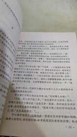 女杀手之吻