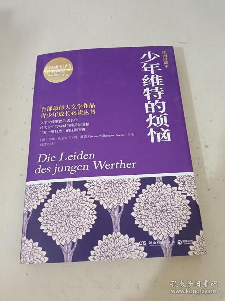 博集典藏馆：少年维特的烦恼