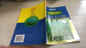 祖國的珍貴植物