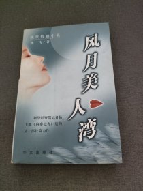 风月美人湾:现代情感小说