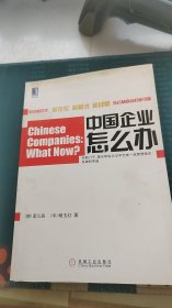 中国企业怎么办