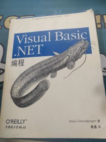 Visual Basic.NET编程