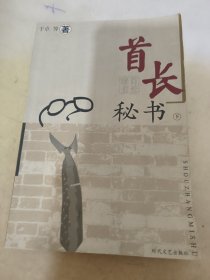 首长秘书（下册）