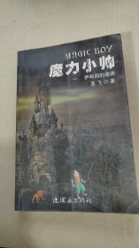 魔力小帅1