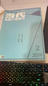 当代长篇小说选刊2019   2