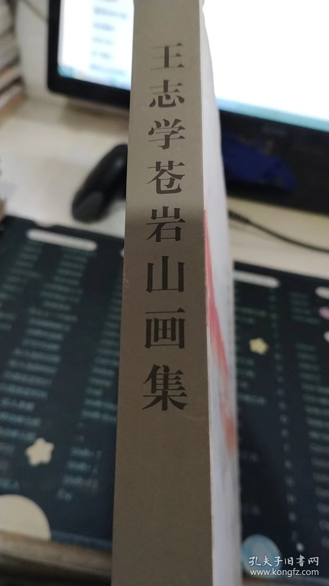 王志学苍岩山画集