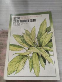 室内观叶植物及装饰