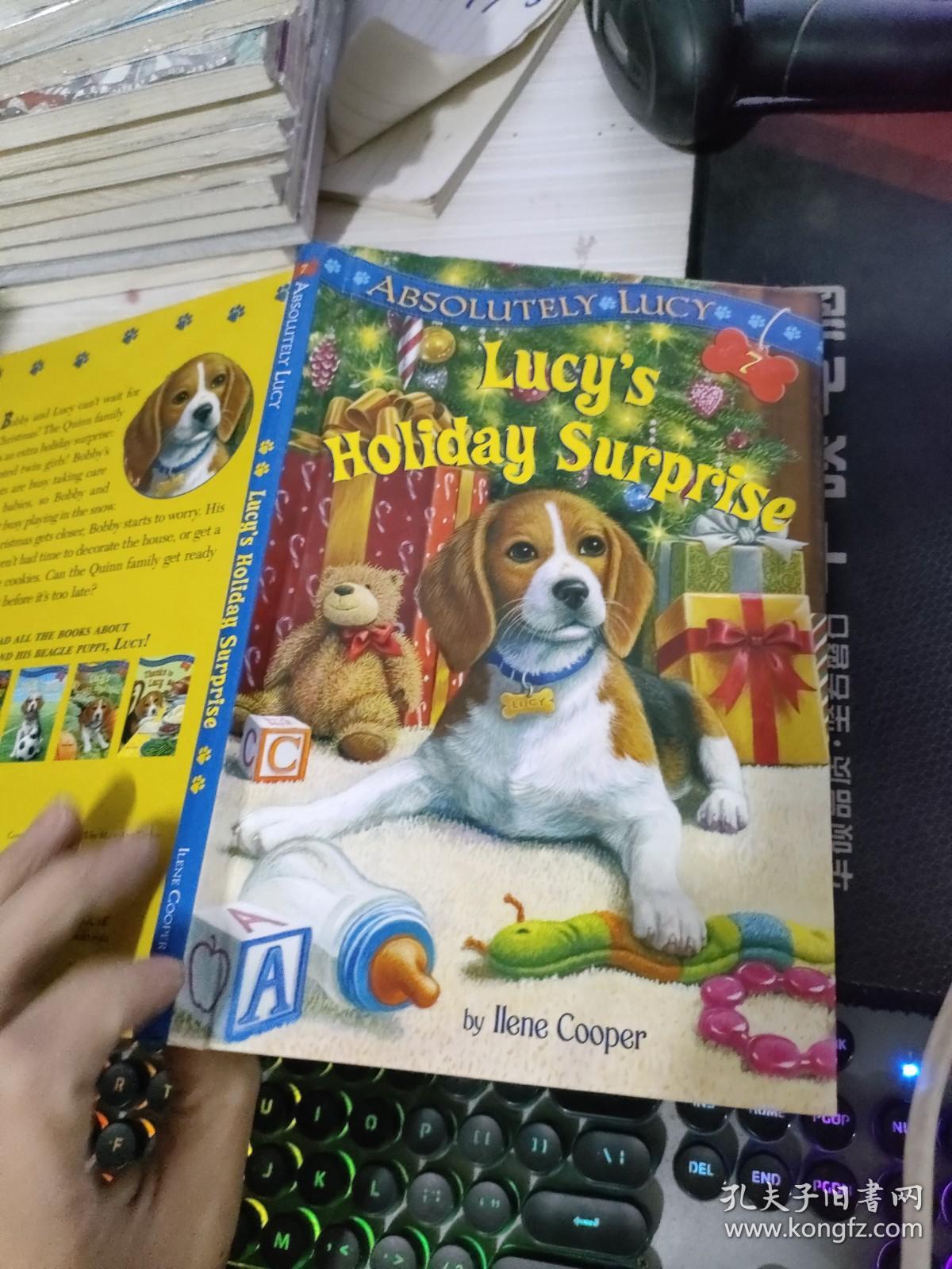 LUCY'S HOLIDAY SURPRISE