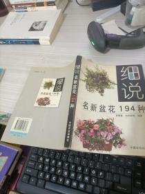 细说名新盆花194种