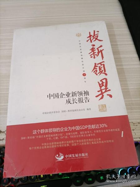 拔新领异 中国企业新领袖成长报告