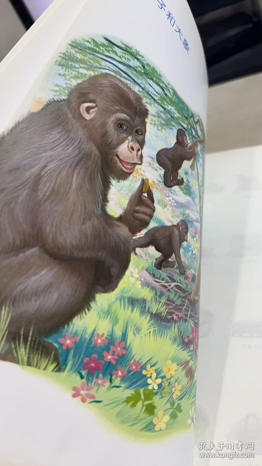 玛蒂娜和他的朋友们去动物