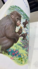 玛蒂娜和他的朋友们去动物