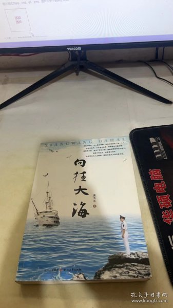 向往大海