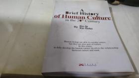 A brief history of human culture in the 20th century