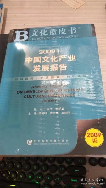 2009年中国文化产业发展报告