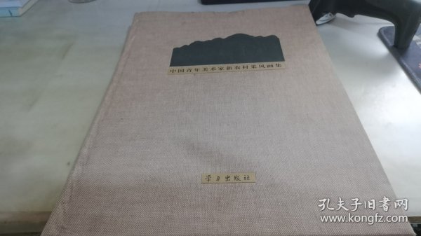 中国青年美术家新农村采风画集