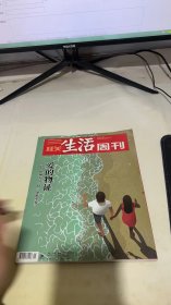 三联整活周刊2020 5.6期合刊