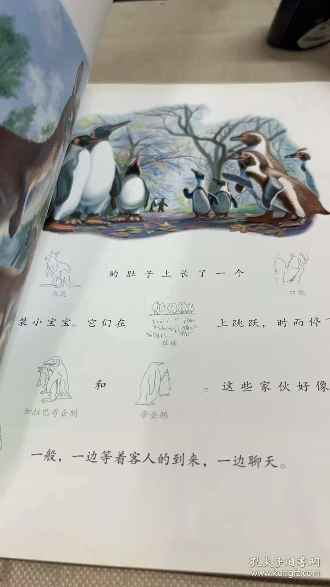 玛蒂娜和他的朋友们去动物