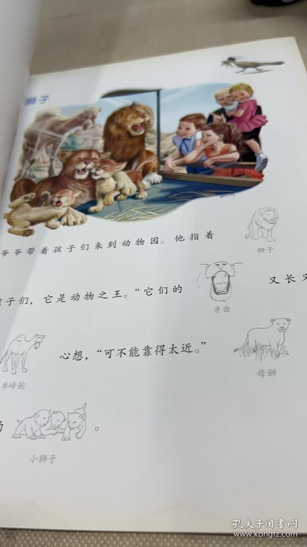 玛蒂娜和他的朋友们去动物