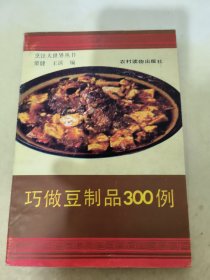 巧做豆制品300例