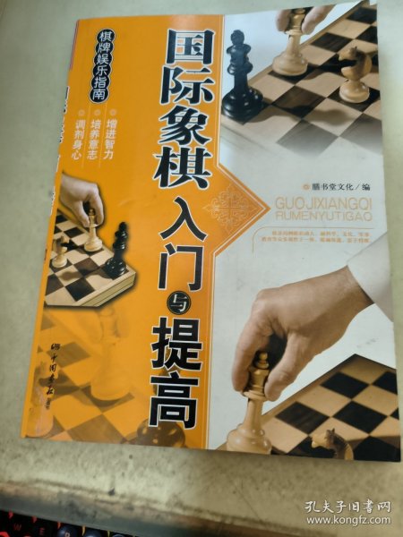 棋牌娱乐指南：国际象棋入门与提高