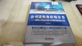 公司法实务应用全书：律师公司业务基本技能与执业方法