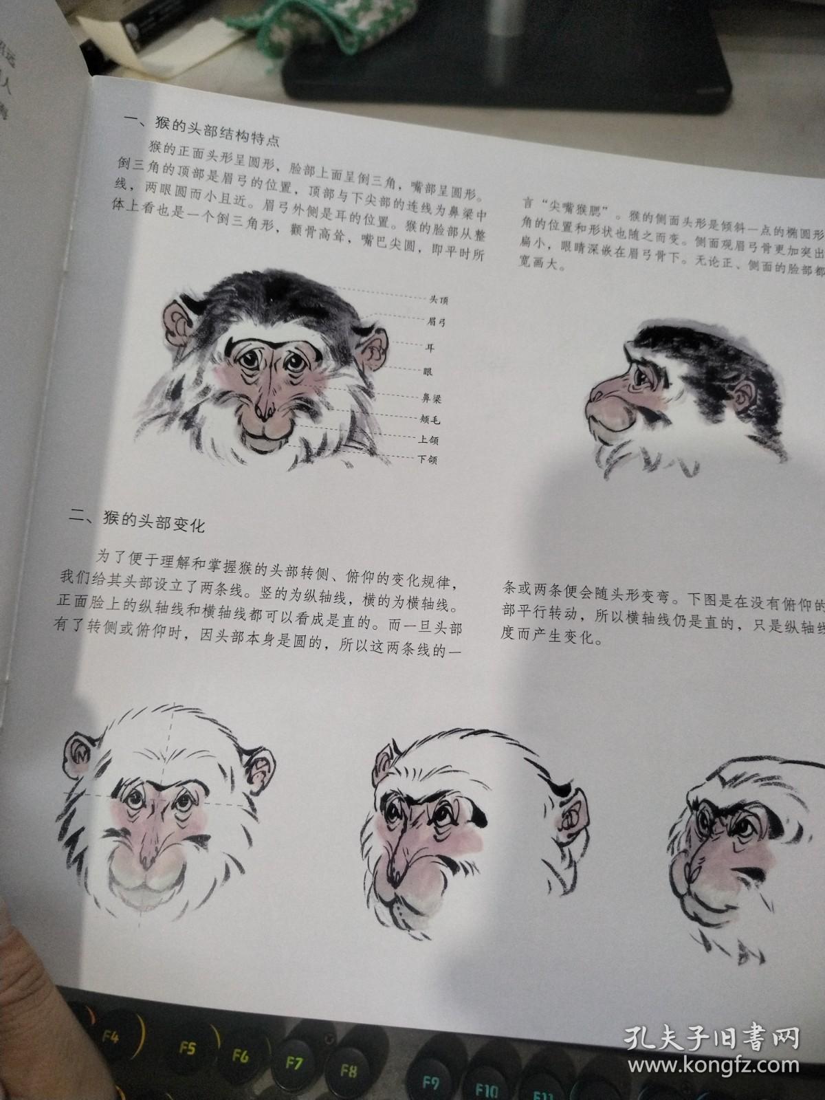 中国画技法：猴