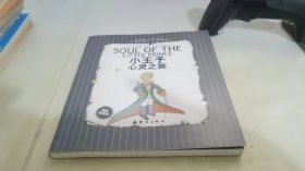 小王子心灵之旅：SOUL OF THE LITTLE PRINCE