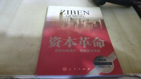 资本革命（新常态下的中国经济与世界大环境对接概念 着眼于系统性社会建设与可持续发展，深入解读私有资本与国有资本的社会属性与功能）