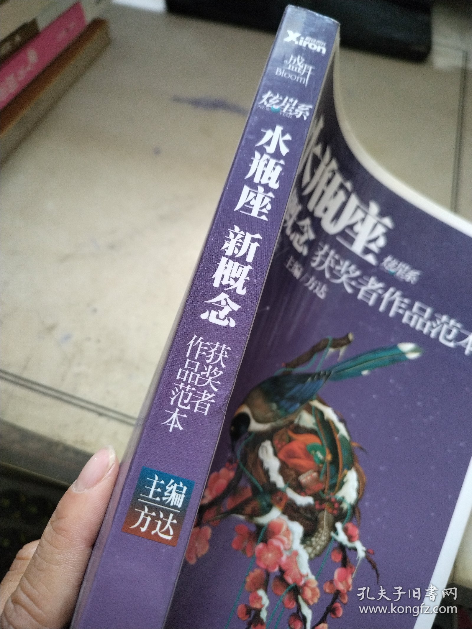 盛开·炫星系·新概念获奖者作品范本：水瓶座