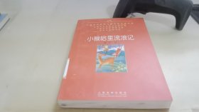 中国当代获奖儿童文学作家书系：小猴哈里流浪记