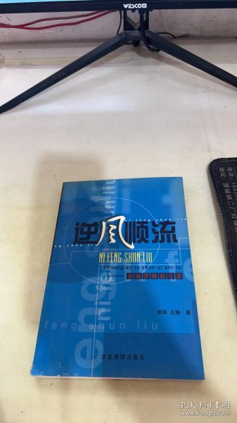 逆风顺流:双安发展启示录