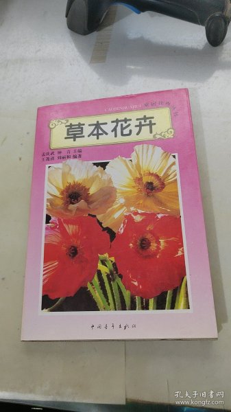 草本花卉