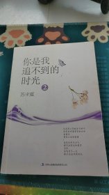 你是我追不到的时光2