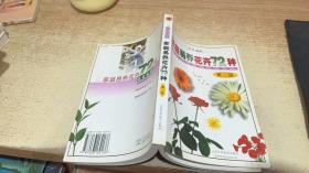 易养花卉的59种要领：家庭养花实用手册