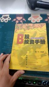 B股投资手册