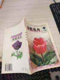 球根花卉