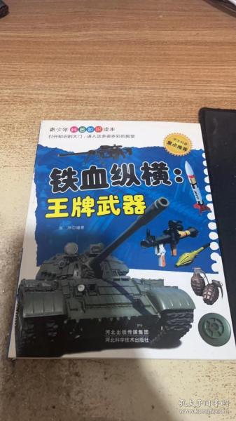 铁血纵横 : 王牌武器