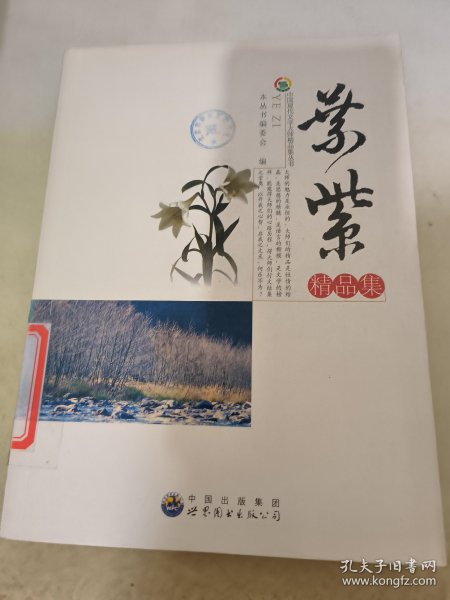 中国现代文学大师精品集丛书-叶紫