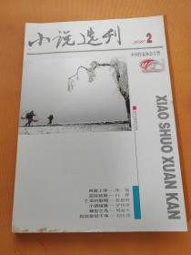 小说选刊2010年第2期