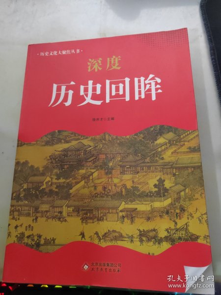 中小学生阅读系列之 历史文化大聚焦丛书——深度历史回眸