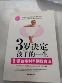 3岁决定孩子的一生1：蒙台梭利早期教育法