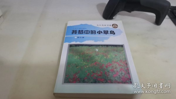 我梦中的小翠鸟