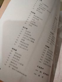 李军声和他的砂石画