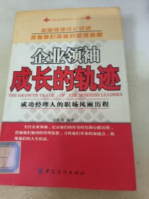 企业领袖成长的轨迹：成功经理人的职场风雨历程