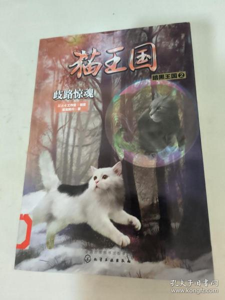 猫王国·暗黑王国.2，歧路惊魂